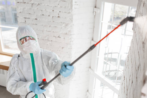 Best Asbestos and Lead Testing During Mold Inspection  in Thedral City, CA