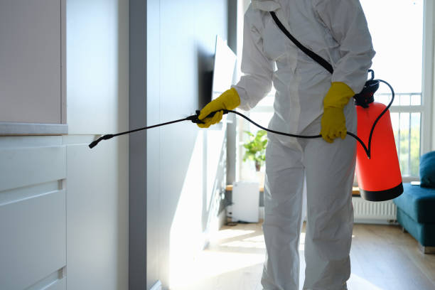 Best Industrial Mold Remediation  in Thedral City, CA