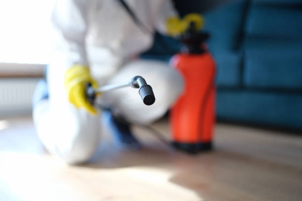 Best Emergency Mold Remediation  in Thedral City, CA