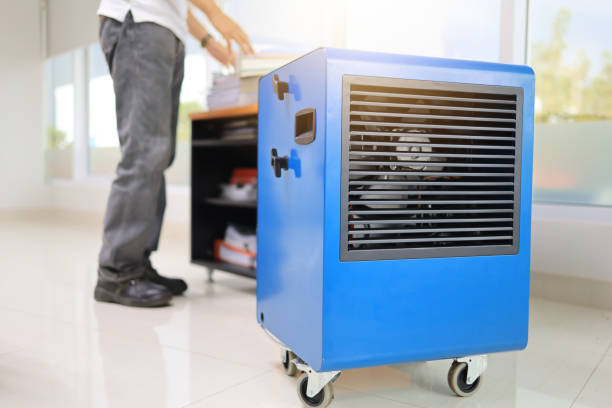 Best Comprehensive Air Testing for Mold Contaminants  in Thedral City, CA