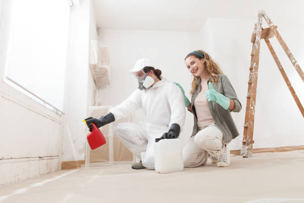 Best Post-Construction Mold Inspection  in Thedral City, CA